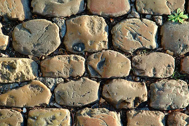 Photo of Sunny Cobbled Road Close Up