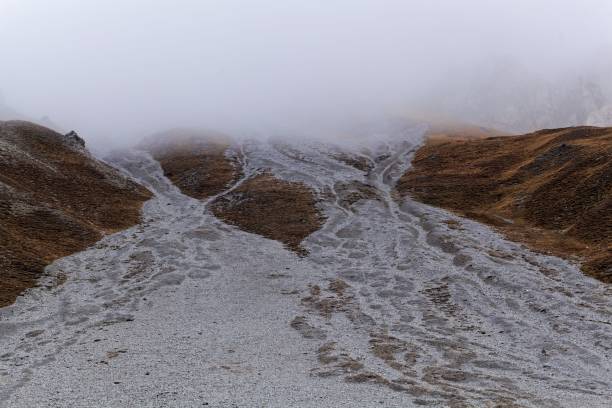 deslizamiento de tierra en los alpes - alp descent fotografías e imágenes de stock