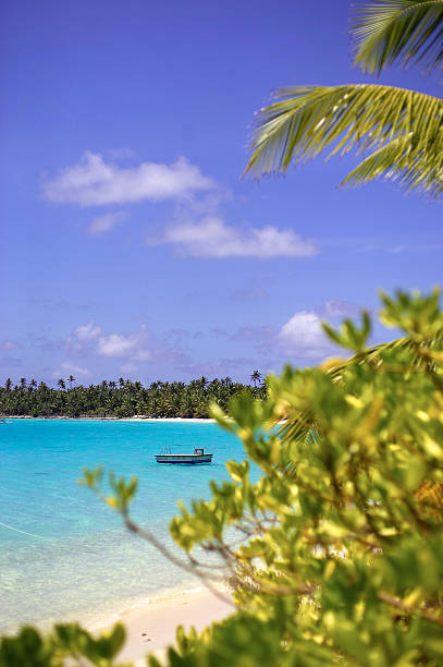 istock sunny exotic paradise beach perfect water 90328439