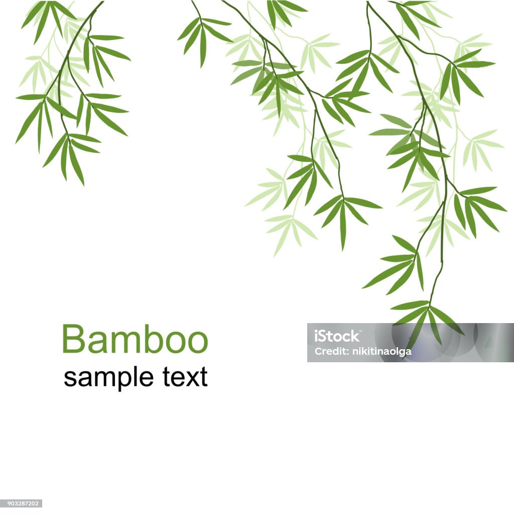 Green bamboo branches Green bamboo branches on a white background Bamboo Leaf stock vector