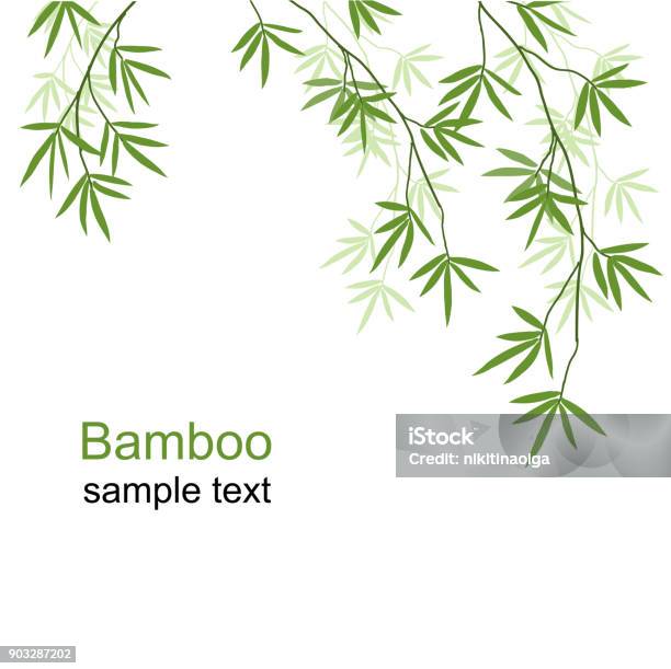 Green Bamboo Branches Stock Illustration - Download Image Now - Bamboo Leaf, Bamboo - Material, Bamboo - Plant