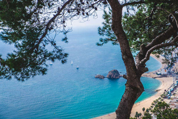 istock Sea coast in Blanes, Costa Brava 903289696