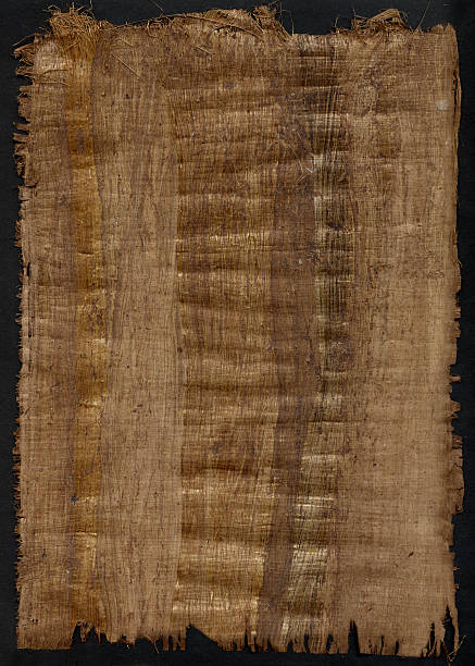 Papirus – zdjęcie
