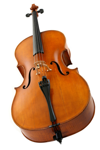 A maple cello isolated on white.