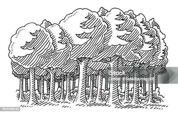 Broadleaf Tree Forest Drawing Stock Illustration - Download Image Now - Forest, Tree, Drawing - Art Product