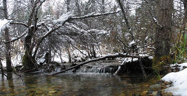 Flower Creek With Snow #1 Panoramic  sooth stock pictures, royalty-free photos & images