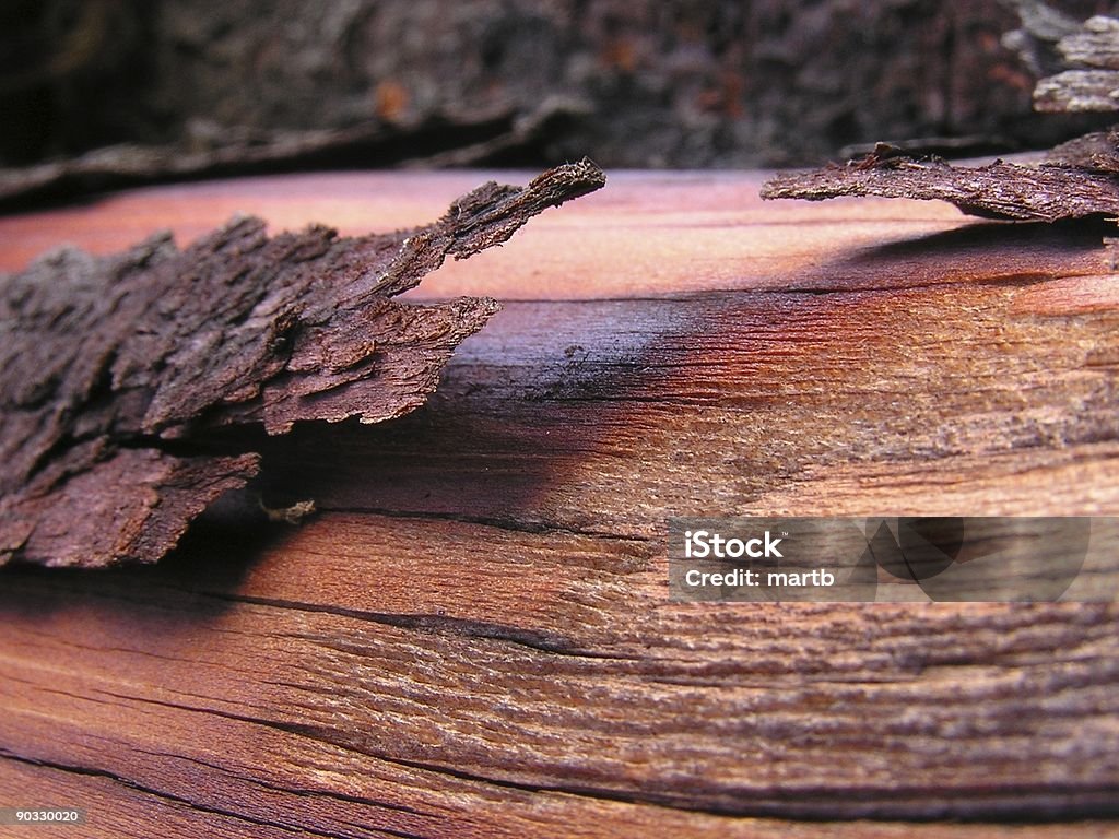 Flaking Bark  Backgrounds Stock Photo