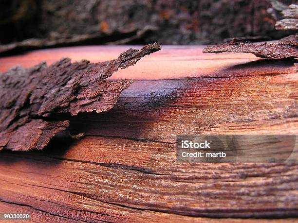 Flaking Bark Stock Photo - Download Image Now - Backgrounds, Branch - Plant Part, Building - Activity