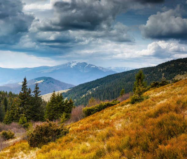 istock Panorama of idyllic landscape in the spring mountains. 903301984