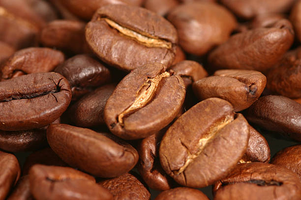 ziarna kawy – zdjęcie