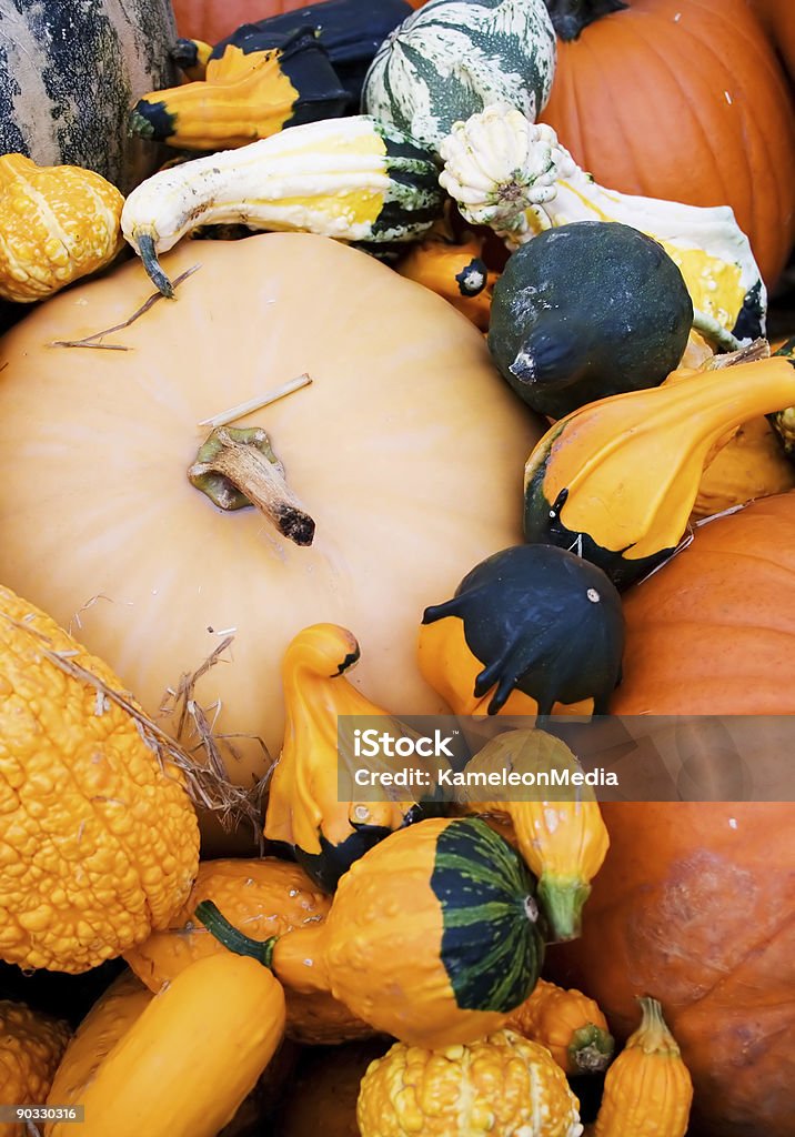 gourds e abóboras - Foto de stock de Abundância royalty-free