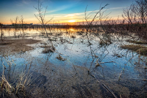 istock Landscape of flood plain And Sky with sunset on background 903305220
