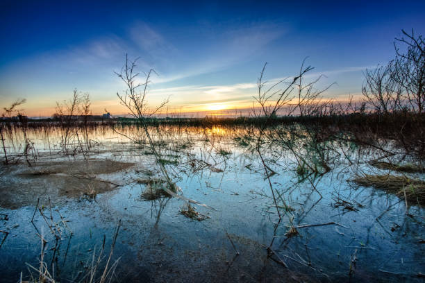 istock Landscape of flood plain And Sky with sunset on background 903305252