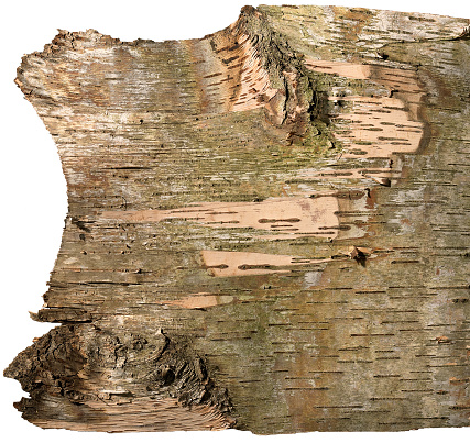 Really cool piece of wood with great edges and textures for use as a background for your product or as photoshop layers