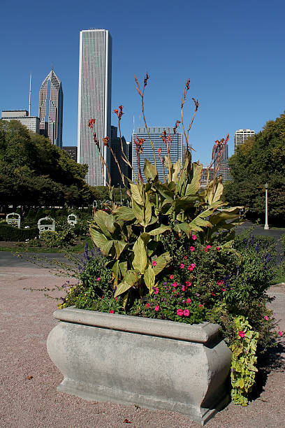 istock Grant Park and Skyscrapers in Chicago 90330647