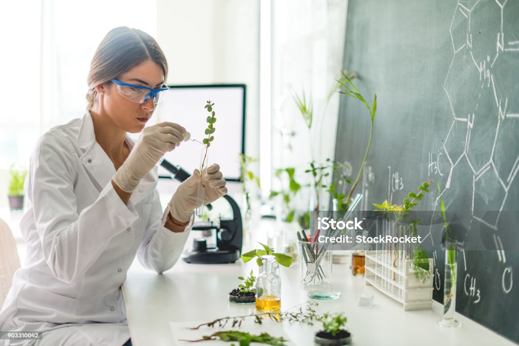 Biologa nel suo laboratorio - Foto stock royalty-free di Scienziato