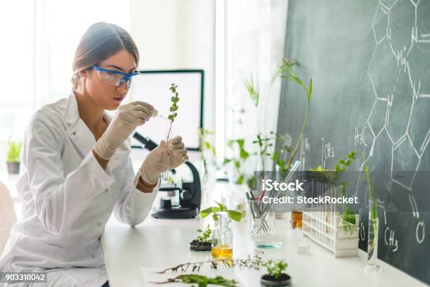 Biologist In Her Laboratory Stock Photo - Download Image Now - Scientist, Adult, Adults Only