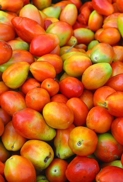 Plum tomatoes stock photo