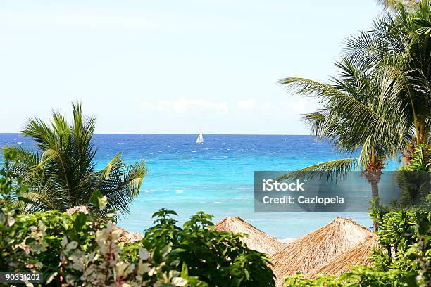 Tropikalny Raj - zdjęcia stockowe i więcej obrazów Aranżować - Aranżować, Barbados, Chatka