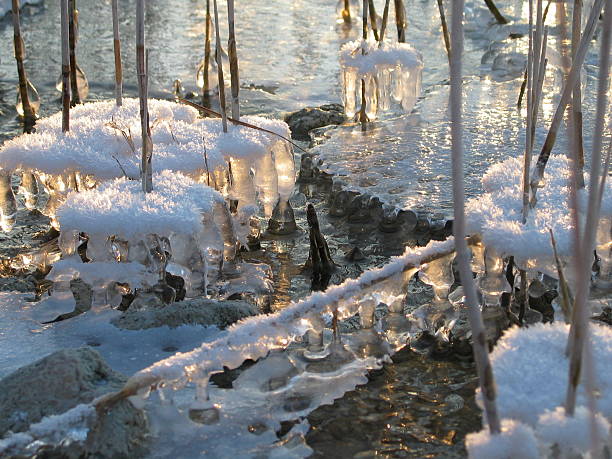 Zamrożone – zdjęcie