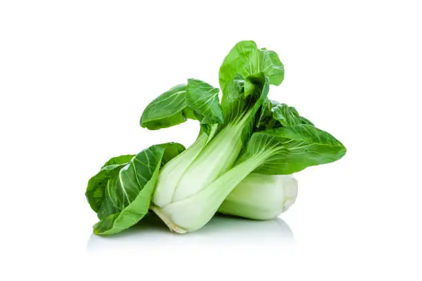 Chinese Bok Choy cabbage also called Pak Cho isolated on white background. Predominant colors are green and white. DSRL studio photo taken with Canon EOS 5D Mk II and Canon EF 70-200mm f/2.8L IS II USM Telephoto Zoom Lens