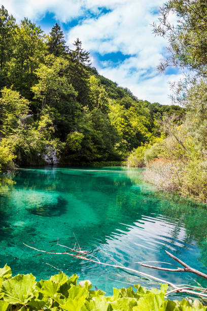 istock Forest nature and blue mountain lake, Plitvice lakes. 903312936