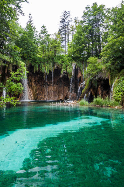 istock Forest lake, national park Plitvice lakes, Croatia. 903313192