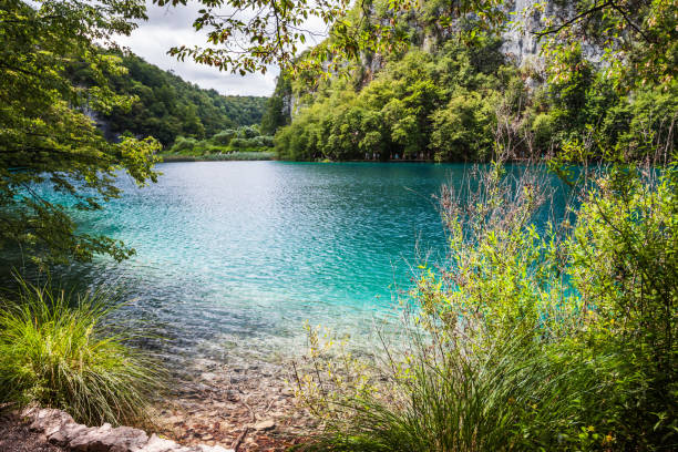 istock Forest lake, national park Plitvice lakes, Croatia. 903313274