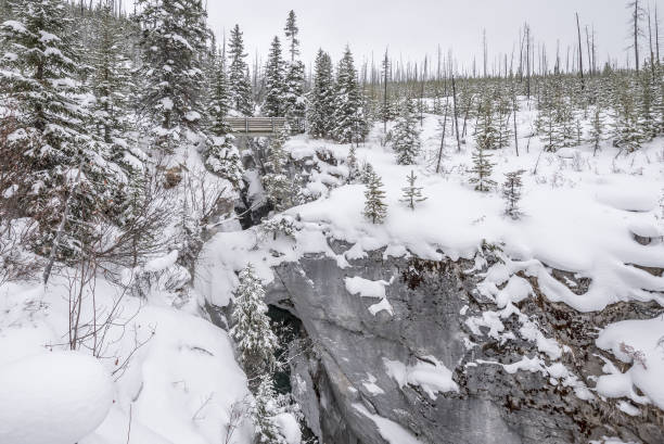 istock Tokumm Creek and Marble Canyon in Winter 903313612