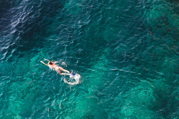 istock Swimming in sea 903313838