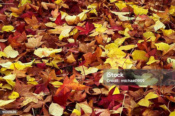 Autumn Leafs Stock Photo - Download Image Now - Autumn, Backgrounds, Brown