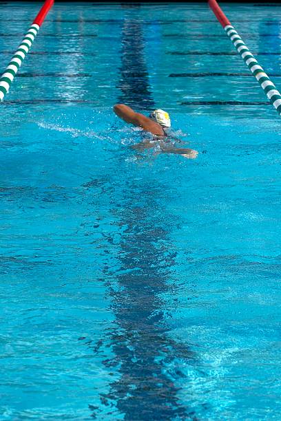 Swimming Laps stock photo