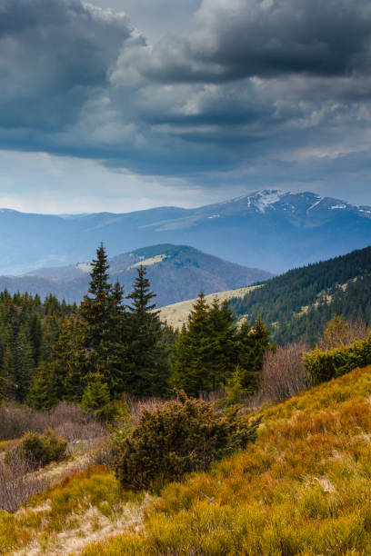 istock Idyllic landscape in the spring mountains. 903316972