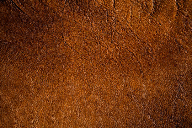 istock Abstract Grunge Real Leather Skin Fabric Background Texture 903317182