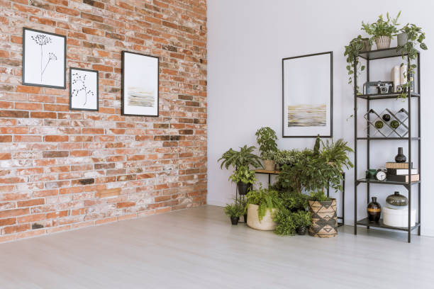 Simple living room with pictures