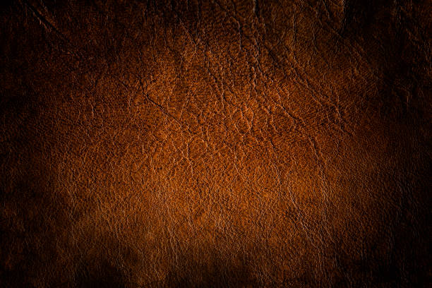 istock Abstract Grunge Real Leather Skin Fabric Background Texture 903317734