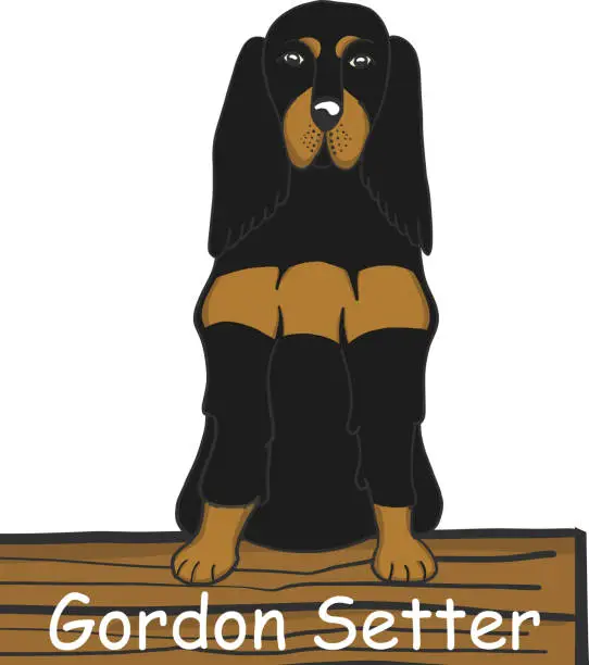 Vector illustration of Gordon Setter cartoon dog icon
