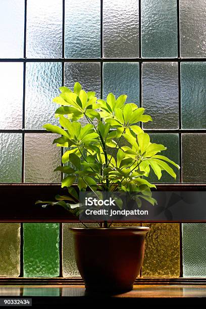 Buntglasfenster Und Plant Stockfoto und mehr Bilder von Beleuchtet - Beleuchtet, Beten, Blatt - Pflanzenbestandteile