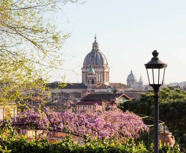 Cityscape with cupolas, wisteria and street light, Rome