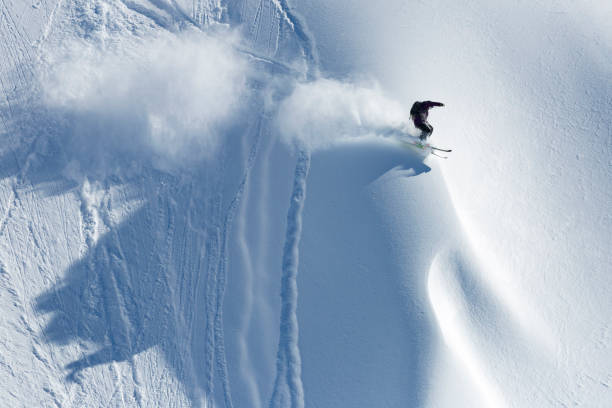 Extreme skier riding fresh powder snow downhill stock photo