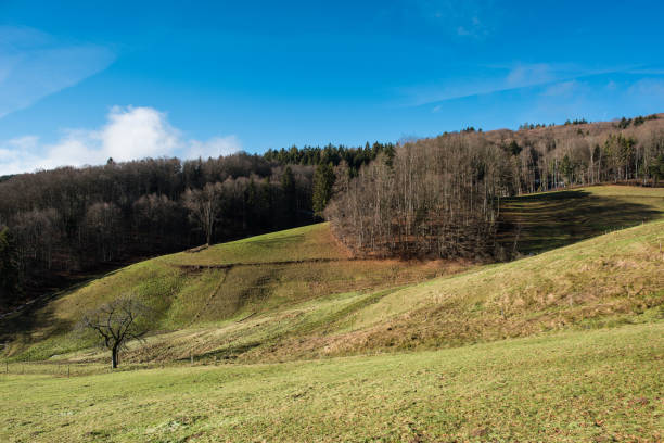 istock landscape with blue sky south west germany 903350340