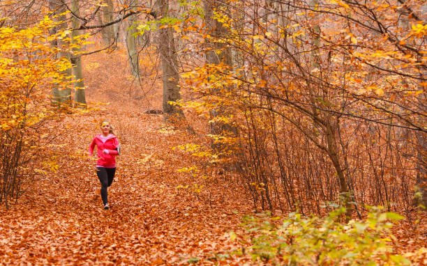 istock Young sporty girl doing exercises in forest. 903350566