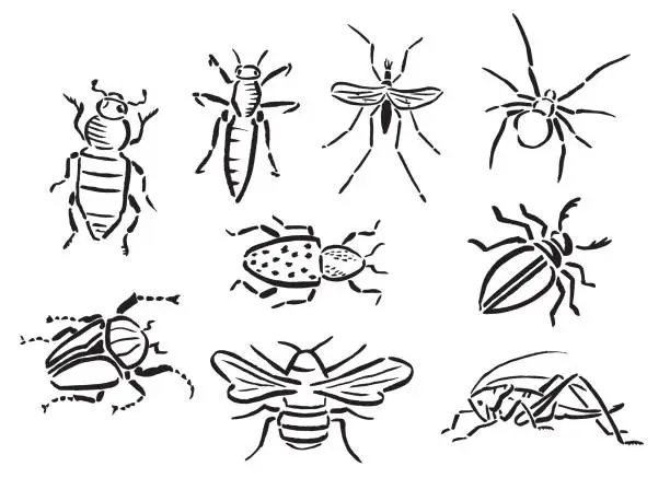 Vector illustration of Hand Painted Black and White Insects or Bugs