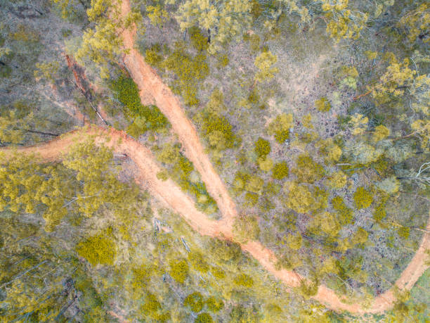 istock Areal view of a pathway in Australia 903373722