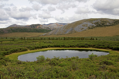 Landscape along Dempster Highway near Tombstone Territorial Park, Yukon Territory, Canada