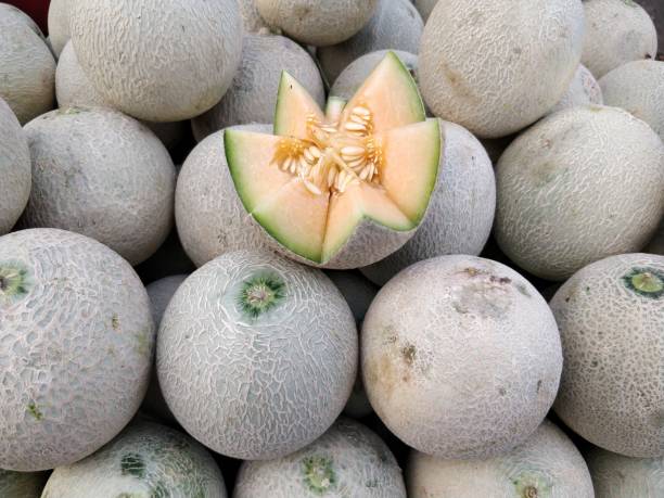 istock Melon fruits after harvest 903374706