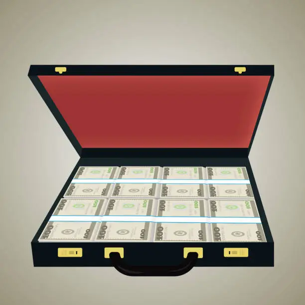 Vector illustration of suitcase with money