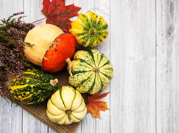 istock Pumpkins with autumn leaves 903390892