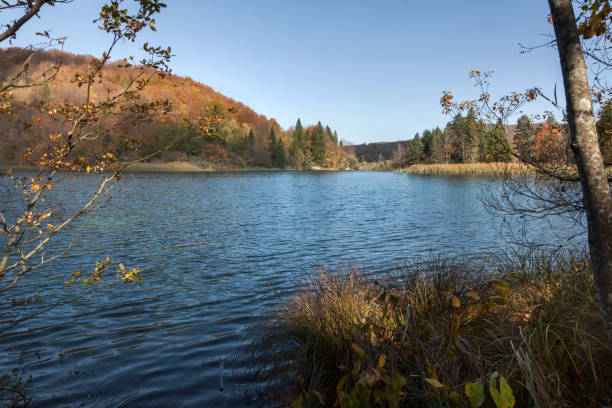 istock Plitvice Lakes National Park 903390908