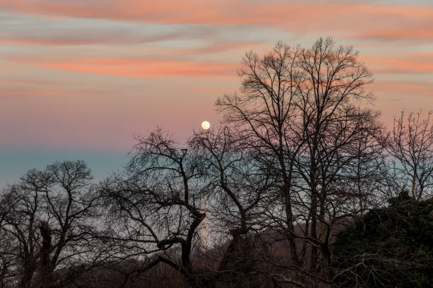 istock A very colorful sunset at Pelion mountain 903391126